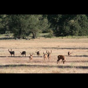Meet your Posher, Marc